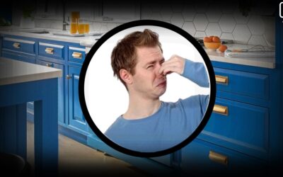 Why Viking Oven Smells Like Gas and How to Fix it?