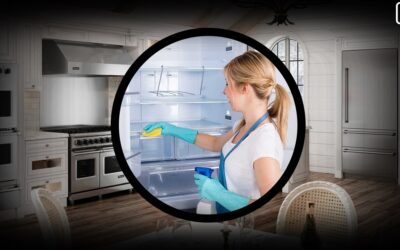 Viking Built-In Refrigerator: Cleaning Best Practices