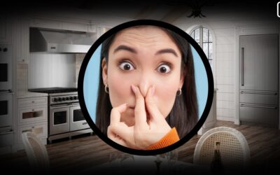 Clean But Smelly: Why Does My Self-Cleaning Viking Oven Smells Bad?
