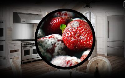 Prevent Food Spoilage in Viking Freezer Refrigerators