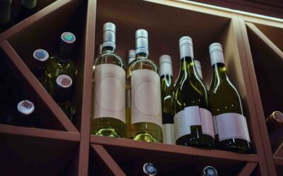 Sipping in Style: The Importance of Humidity Control in Wine Coolers for a Toast-Worthy New Year