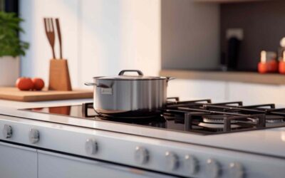 Holiday Viking Stove Repair & Maintenance Guide