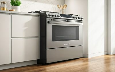 Seasonal Oven Maintenance: What to Do and When