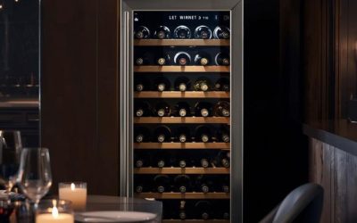 How to Use a Wine Cooler: Your Complete Setup & Storage Guide