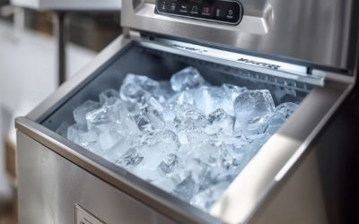 Essential Care for Viking Ice Makers in Warm LA Weather